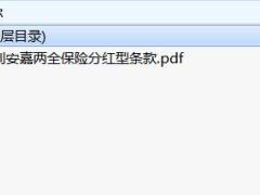 利安嘉两全保险分红型条款.rar