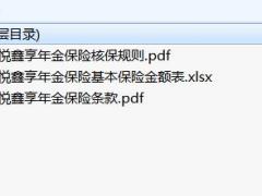 国华悦鑫享年金保险条款费率核保规则.rar