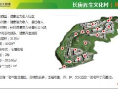 恒大健康国内外主流康养项目运营模式37页.pptx