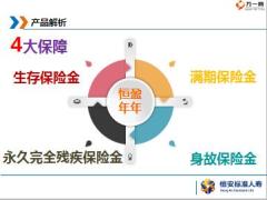 恒安标准恒盈年年年金保险产品解析案例分析17页.pptx