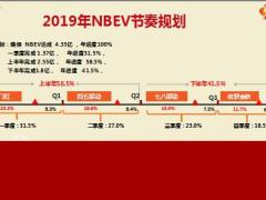 新春总监见面会报告19年计划部分20页.pptx