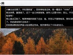 每日快乐早会19年2月19日使用12页.ppt