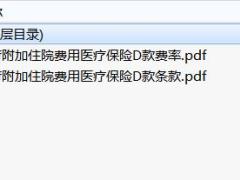 中荷附加住院费用医疗保险D款条款费率表.rar