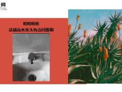 每日快乐早会19年2月21日使用12页.ppt