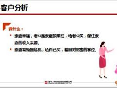 全职太太销售逻辑国华保中宝25页.pptx