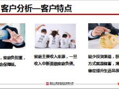 务工务农销售逻辑国华保中宝25页.pptx