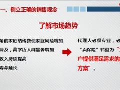 账户个人销售典范销售观念客户需求实力助力特性17页.pptx