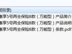 君康惠享5号两全保险B款万能型条款说明书产品简介.rar