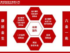 国华康运一生康运金生健康养老计划产品形态特色案例演示19页.ppt