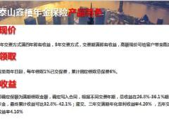 国华泰山鑫禧年金保险产品特色责任形态案例22页.ppt