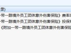 人保健康附加一带一路境外员工团体意外伤害保险条款费率.rar