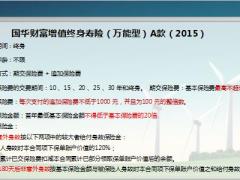 国华财富增值终身寿险万能型亮点优势案例演示15页.ppt