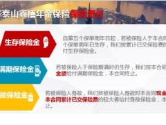 国华泰山鑫禧年金保险产品特色责任形态案例22页.ppt