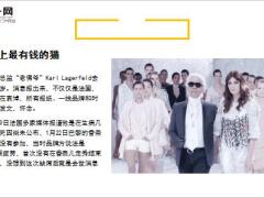 香奈儿设计总监去世2亿美金遗产留给了猫31页.ppt