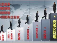 组织创富国寿企业家规划意愿调动含备注47页.pptx