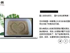 每日健康人参吃一斤不如它一两16页.ppt