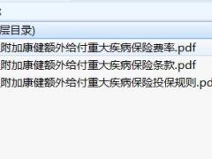 民生附加康健额外给付重大疾病保险条款费率投保规则.zip