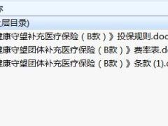 人保健康健康守望团体补充医疗保险B款条款费率投保规则.rar