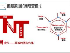 2019渠道发展螺旋式上升项目体系介绍总结44页.pptx