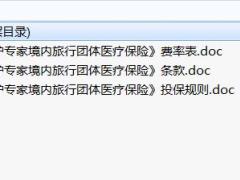 人保健康守护专家境内旅行团体医疗保险条款费率投保规则.rar