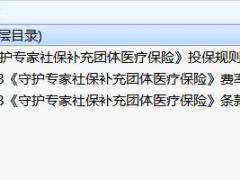 人保健康守护专家社保补充团体医疗保险条款费率投保规则.rar