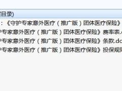 人保健康守护专家意外医疗推广版团体医疗保险条款费率投保规则.rar