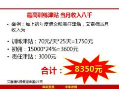 公司2019年四五扩军组织发展方案34页.pptx