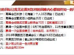 恒安标准幸福金生卓越C销售数据原因案例分享16页.pptx