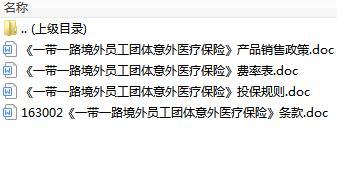 人保健康一带一路境外员工团体意外医疗保险条款费率投保规则.rar