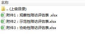 观察性示范性协助性陪访评估表.rar