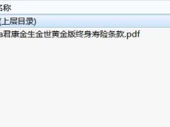 君康金生金世黄金版终身寿险条款.rar