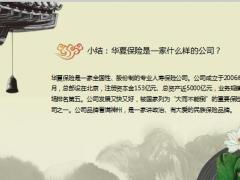 2019版华夏人寿保险股份有限公司简介35页.pptx