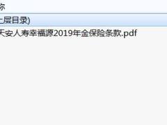 天安人寿幸福源2019年金保险条款.rar