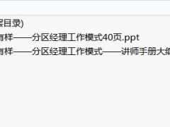 分区经理训练课程4分区经理工作模式含讲师手册.rar