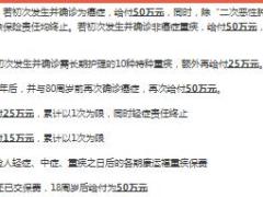 国华康运福重大疾病保险计划书1页.xlsx
