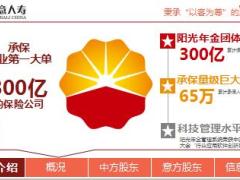 中意人寿公司介绍2019版27页.ppt