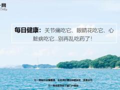 每日健康别再乱吃药关节痛吃它眼睛花吃它心脏病吃它19页.ppt