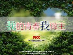 人保健康基本法优势晋升理由选择保险业理由63页.pptx