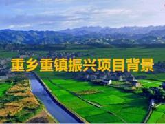 振兴乡村重乡重镇将才招募项目启动会47页.pptx