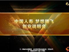 创业说明会流程国寿版20页.pptx
