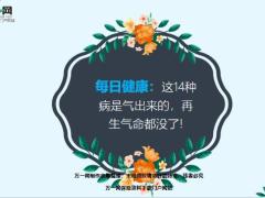 每日健康这14种病是气出来的再生气命都没了16页.ppt