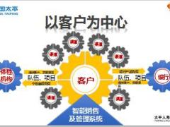 太平人寿经营模式支持系统9页.pptx
