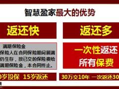 合众智慧盈家智尊计划销售逻辑52页.pptx
