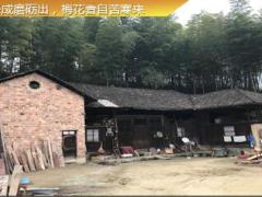 健康险五饼图阶梯图互保图T型图29页.pptx