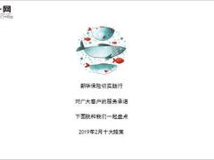 新华保险2019年2月十大赔案14页.ppt