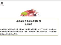 一文读懂中信保诚人寿2019年3月版13页.ppt