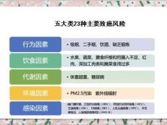 柳叶刀全球健康重磅论文揭秘我国各省癌症病因15页.ppt
