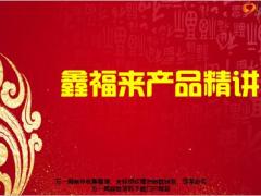 富德生命鑫富来产品基础优势案例通关34页.pptx