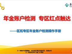 泰康人寿区拓专区年金账户检测操作手册12页.pptx