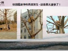 每日快乐早会19年3月29日使用12页.ppt